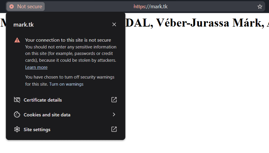 Browser output